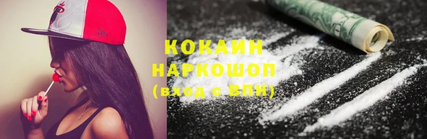 стафф Елизово