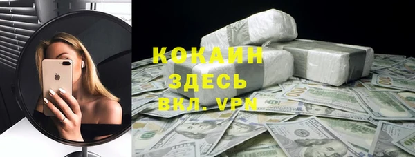 стафф Елизово