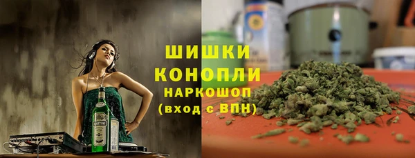 стафф Елизово