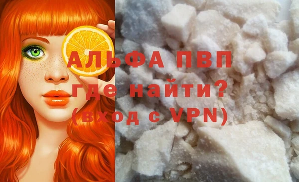 стафф Елизово